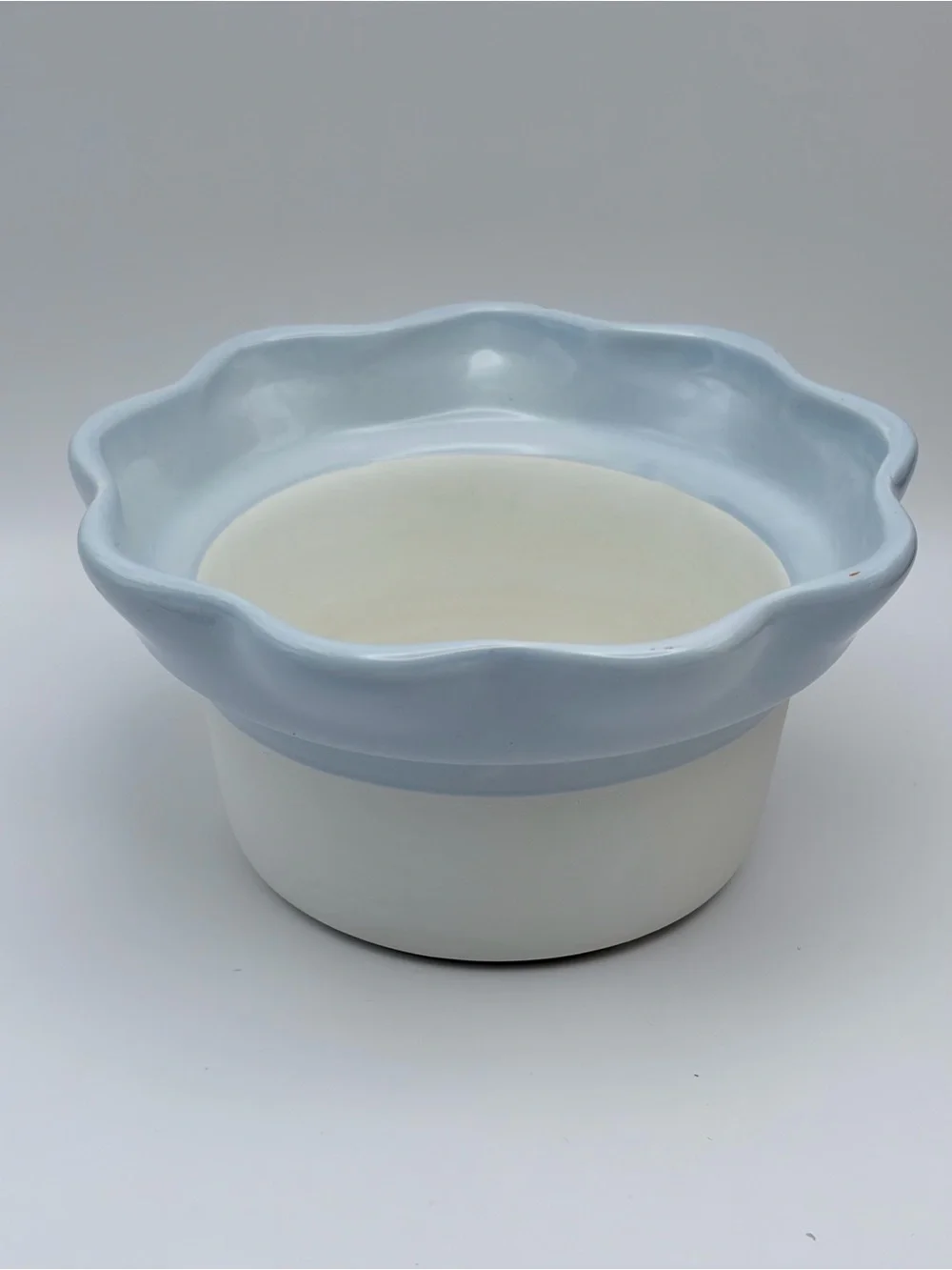 Vintage Ceramic *African Violet Planter Self Watering Dragonfly Pot Light Blue